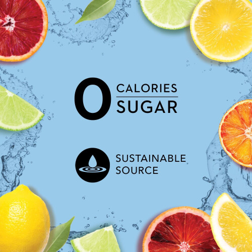 Sparkling Water, Tahitian Lime, 330 ml Cans, 10 Count 2