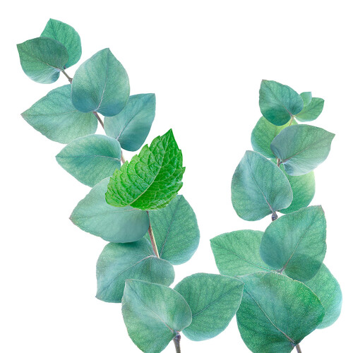 Bath Oil Goodbye Stress Water Mint Rosemary 100ml 1