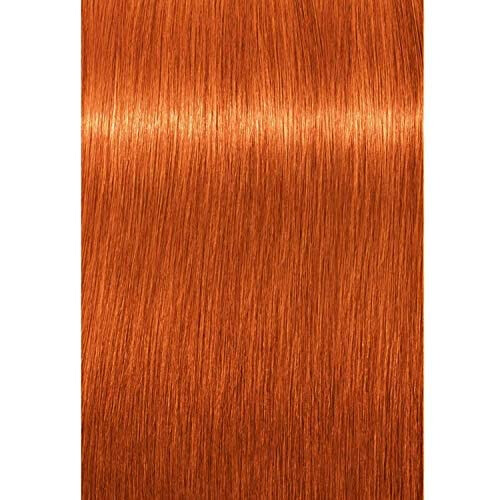 Schwarzkopf Schwarzkopf Professional Igora Royal Μόνιμη Βαφή Μαλλιών 8-77 Ξανθό Ανοιχτό Χάλκινο 60 γραμμάρια 2