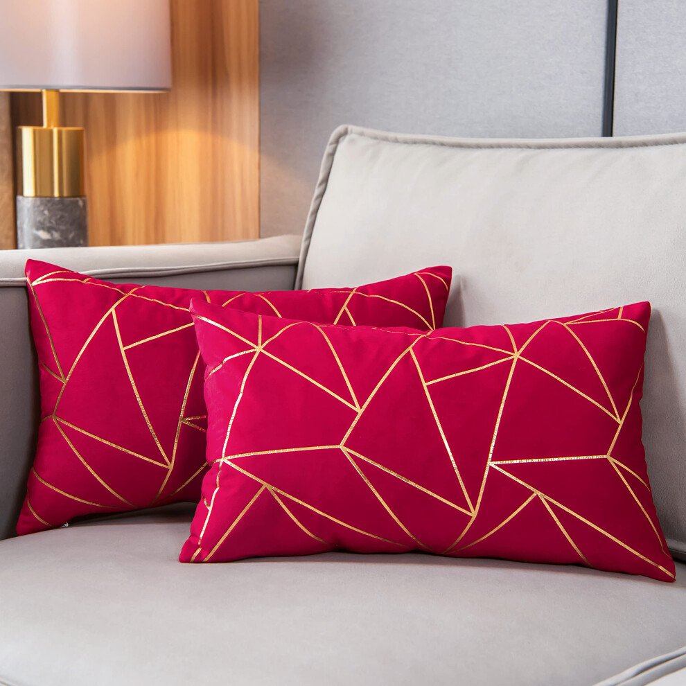 Yongliu 2Er-Pack Weicher Samt-Kissenbezuge Fur Die Lendenwirbelsaule, Dekoratives Goldenes Folien-Muster, Rechteckiger Kissenbezug Mit Geometrisc-image