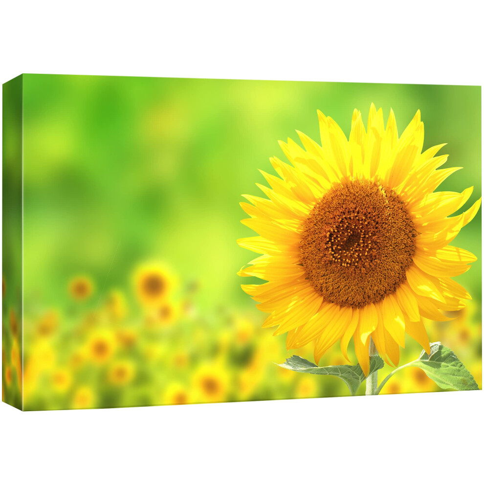 Impression sur toile SIGNFORD - Gros plan de tournesol avec effet bokeh - Photographie florale et plantes - R   alisme - Paysage contemporain - Mul
