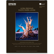 Epson Ultra Premium Fotopapier LUSTER (17x22 inch 25 vellen) (S042084) Wit