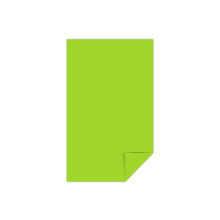Astrobrights 495465 Astrobrights Multipurpose Paper 24 Lbs. 8,5-tommer x 14-tommer Terra Green