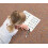 2-SIDET DRY ERASE WHITEBOARD 25PK 3