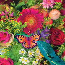 Springbok Spring Fever 500 Piese puzzle pentru adul?i - fluture colorat ?i flori - puzzle relaxant cu piese unice de precizie de precizie - dimen