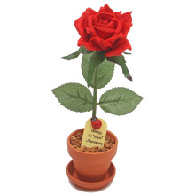 JustPaperroses Anul II aniversare de nunta Aniversare de bumbac Anii 1 - 20 25 ?i 50
