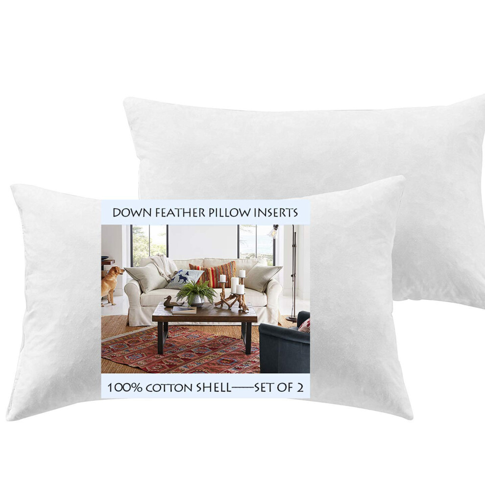 Yesterdayhome Lot de 2 coussins rectangulaires en duvet et plumes Blanc 16 x 26 cm