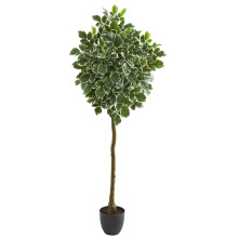 6 spraglet Aralia kunstigt træ