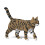 JEKCA Chat 03S-M04 1