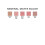 Jolie Mineral Matte Blush Pressed Cheek Color Blusher (Adobe) 3