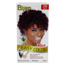Bigen Easy Color #2rb Burgundy Kit, 1 Ea, 1count