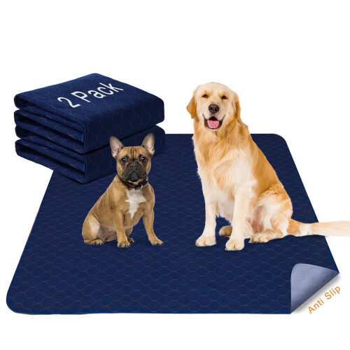 2Pack Dog