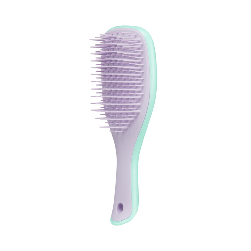 Tangle Teezer Tangle Teezer Mini Ultimate Detangling Brush, Brush για Ξηρά και Βρεγμένα Μαλλιά, Ιδανικό για Ταξίδια