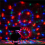 2pack Solar LED Carnival Moving Colour Changing Spotlight Garden Light 4