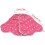 Cat Cone - Comfortable Adjustable Cat Cone Collar for Snug Fit,Lightweight Protective Pet ConesS 4