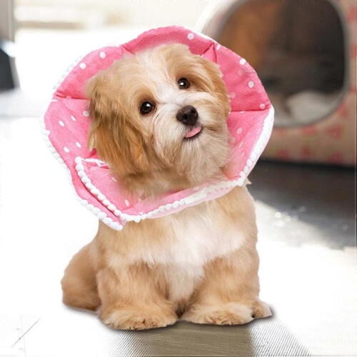 Cat Cone - Comfortable Adjustable Cat Cone Collar for Snug Fit,Lightweight Protective Pet ConesS 2