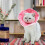 Cat Cone - Comfortable Adjustable Cat Cone Collar for Snug Fit,Lightweight Protective Pet ConesS 2