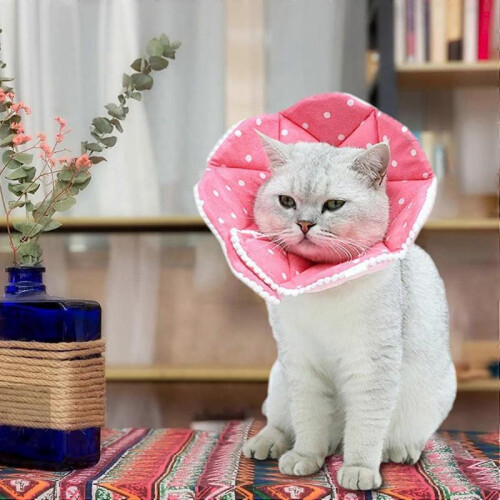 Cat Cone - Comfortable Adjustable Cat Cone Collar for Snug Fit,Lightweight Protective Pet ConesS 1
