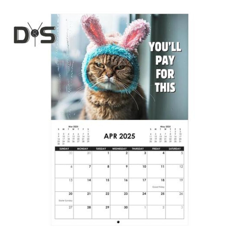2025 Cat Calendar Funny Cat Themed Wall Calendar Angry Kitten Hanging Monthly Daily Planner Gifts for Cat Lovers
