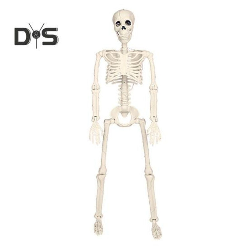 Halloween Skeleton Decoration Realistic Human Bone Structure Model Plastic Jointed Skeleton Statue for Yard Garden Haunted House