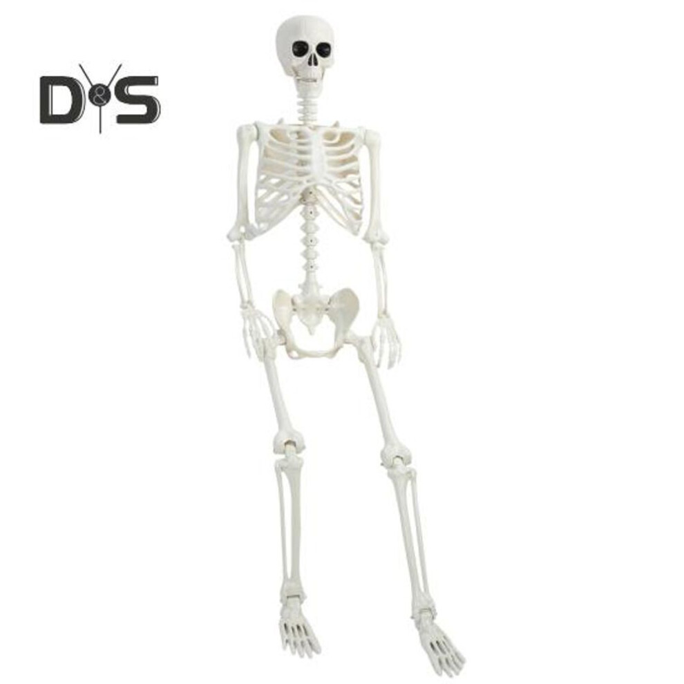 Halloween Skeleton Decoration 35" Full Body Skeleton Bone Statue Posable Joints Skull Ornament for Yard Lawn Garden Patio Scene Display