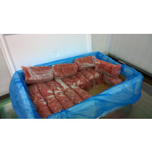 28pk Frozen Chicken Mince Dog Food Chicken Mince - 500g