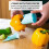 Pepper Corer. Core & Chili to Remove Easily with Kitchen Tool Accessory Great Separator Gadget 17