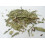 SAFLAX Anzucht Set - Stevia - Stevia - 100 Samen 4