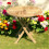 Foldable Garden Table - L80 x W80 x H75 cm - Teak 2