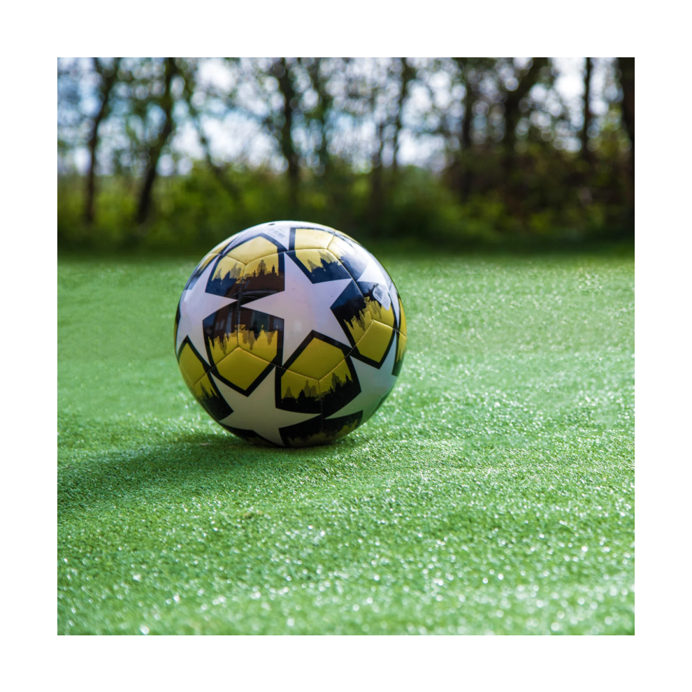 (4m, 2m) SoftTurf Artificial Grass 7mm Budget Turf Hard Wearing Fake Lawn