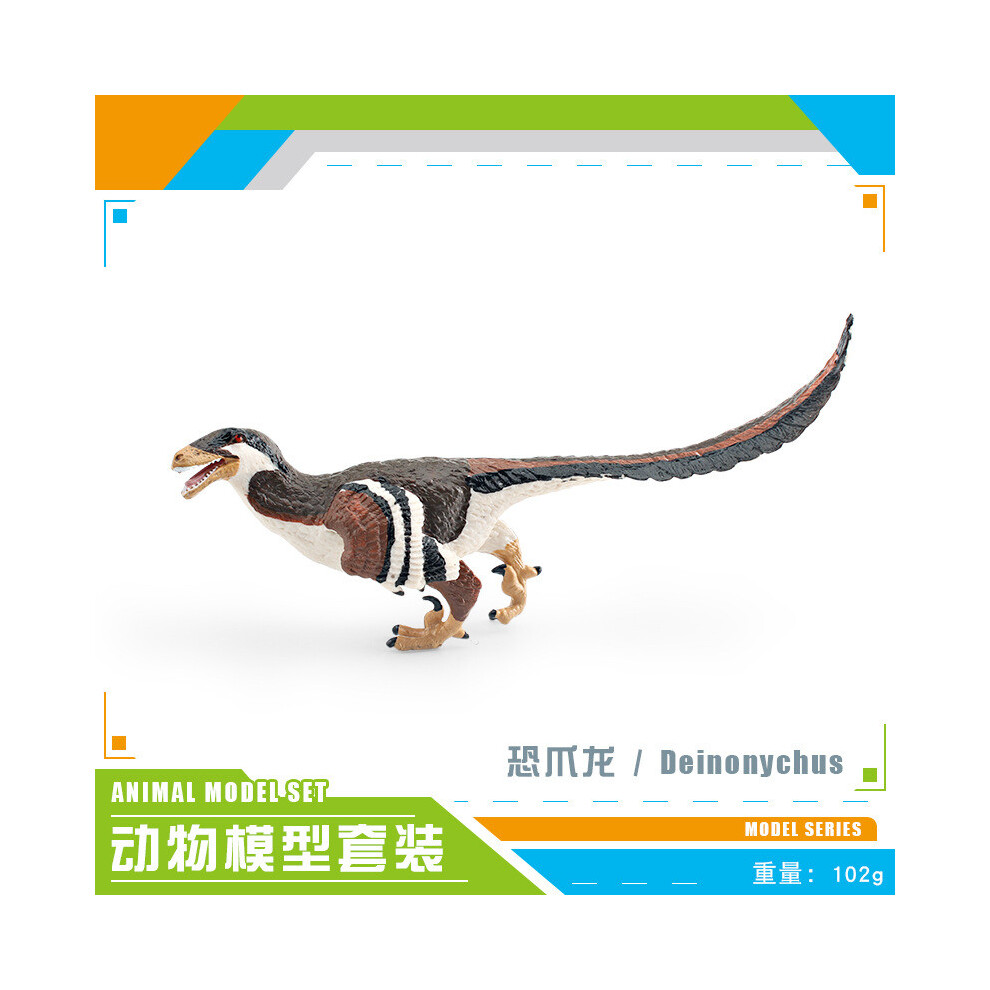 (Claw Dinosaur)Dinosauri In Plastica Realistici Tra Cui Pterosauro Archaeopteryx E Dromaeosauro Per Arredamento Casa