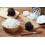 SAFLAX Garden in the bag - Rettich - Schwarzer - Raphanus - 100 Samen 3