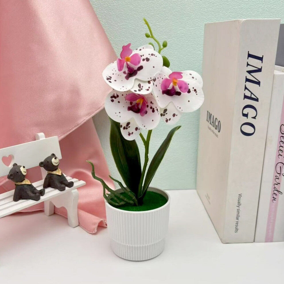 (StyleAA) Phalaenopsis Artificial Plastic Flower Bonsai For Event Decoration Styling Home-image-OPC-PH9D8TY-NEW