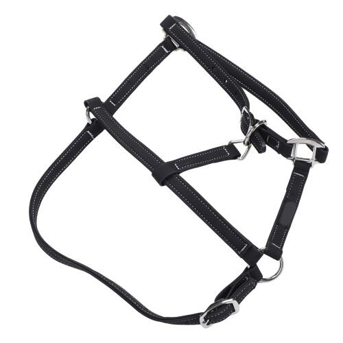 Nylon Equestrian Bridle, L Size 4.43-5.41ft