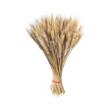 100 Pieces Bulgur Straw Golden Natural Bulgur Bales
