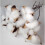 30 Pack Real Dried Cotton Flowers with Stem, 30 2