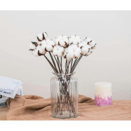 30 Pack Real Dried Cotton Flowers with Stem, 30 2
