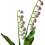 Lily Of The Valley Artificial Plastic Bouquet for Decor 3