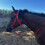 Nylon Adjustable Horse Bridle Headstall, Red, L 6