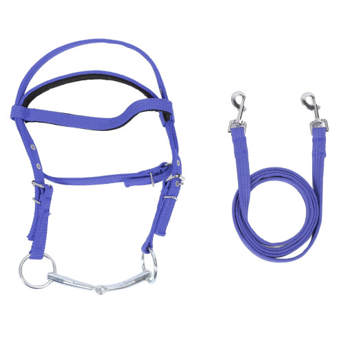 Blue Nylon Horse Bridle Rope, Adjustable S Size 1