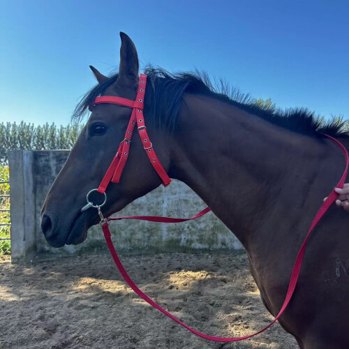 Nylon Adjustable Horse Bridle Headstall, Red, L 2