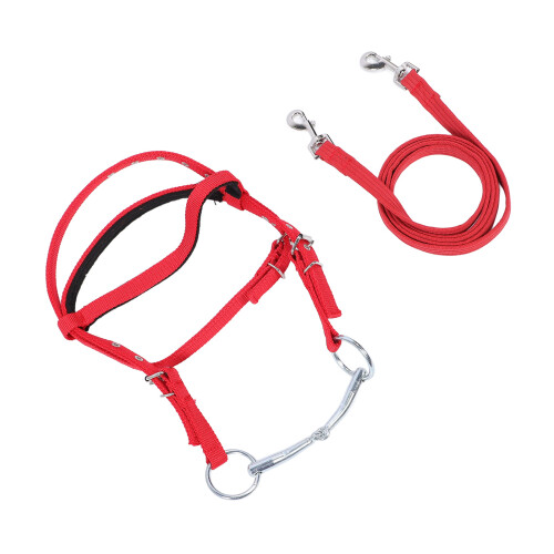 Nylon Adjustable Horse Bridle Headstall, Red, L