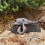 Dinosaur Model Set Realistic Plastic Figure Toy 13