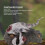 Dinosaur Model Set Realistic Plastic Figure Toy 3