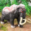 Mammoth Figure Toy - Realistic Educational Model 7