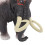 Mammoth Figure Toy - Realistic Educational Model 13