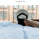 Cat Window Hammock 33 Lbs Blue 48x31x50cm 4