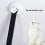 Cat Window Hammock 33 Lbs Blue 48x31x50cm 5