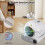 Smart Cat Litter Box Automatic Self-Cleaning  WiFi APP for Multi Cats 2