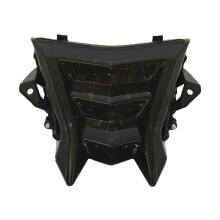 Rauch-Chrom LED-integriertes Rücklicht – Hinterradbremsblinker für BMW HP4 S1000R S1000RR (2009-2018)